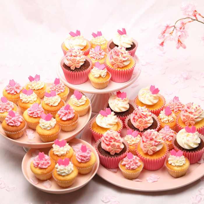 マリンバースデーボックス（6個）#海の日 7日後〜 | カップケーキ