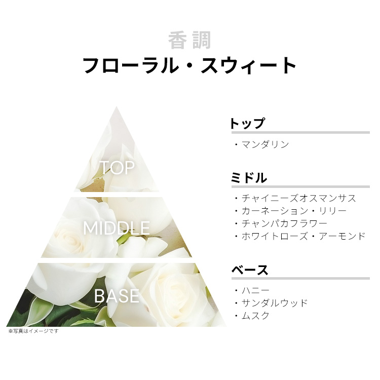 セルジュ ルタンス ニュイドゥセロファン EDP 【お試し香水】 1ml