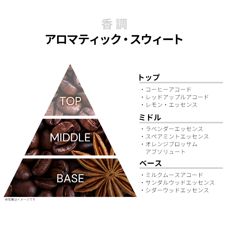 メゾン マルジェラ レプリカ コーヒー ブレイク EDT・SP 30ml MAISON