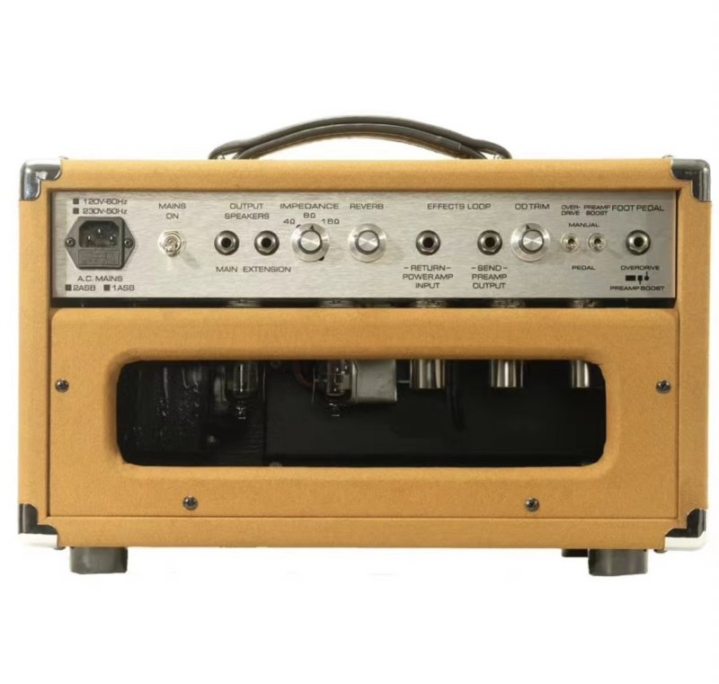 Dumble Overdrive Reverb Clone 20W