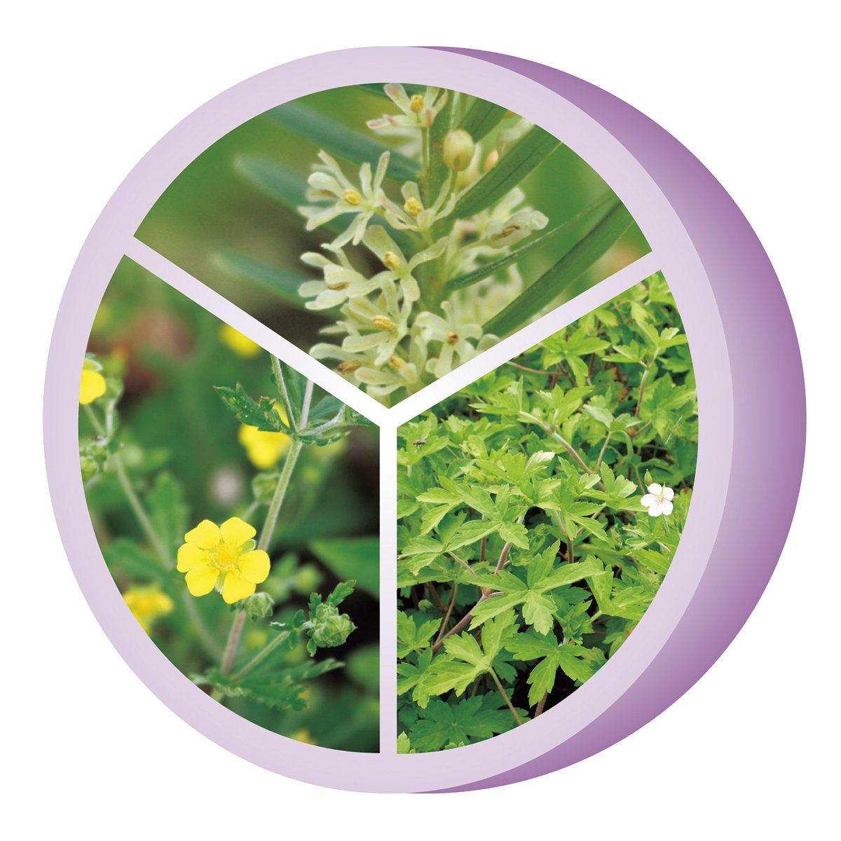 特別付録】あの名品ナイトクリームがたっぷり5g！「ソワーニュ