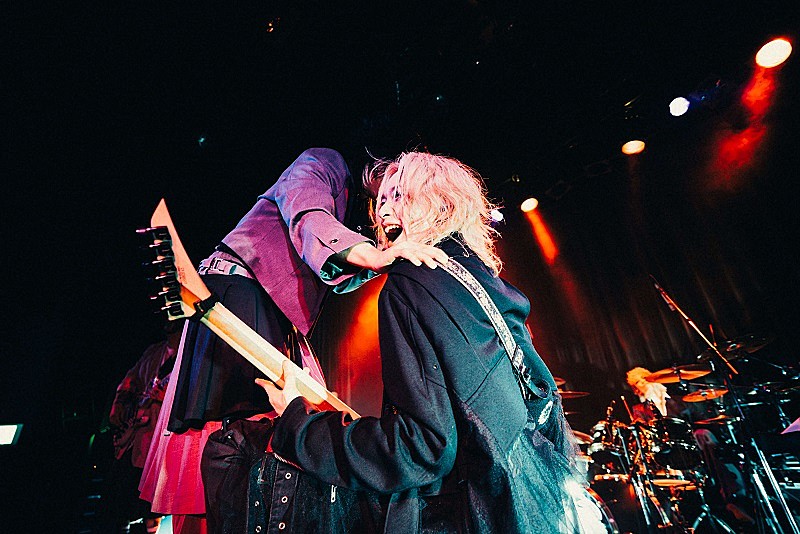 DEZERTが“ヴィレヴァン店員”だったら、エプロン姿の撮り下ろし写真