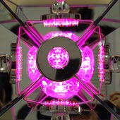 頭の浄化と癒しのヒーリングボックス 速攻発送 | びんちょうたんコム