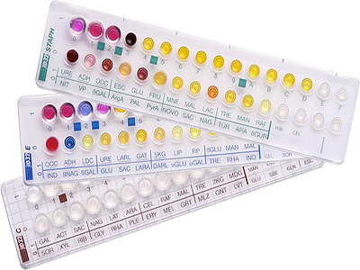 細菌同定感受性検査 | ビオメリュー製品要覧