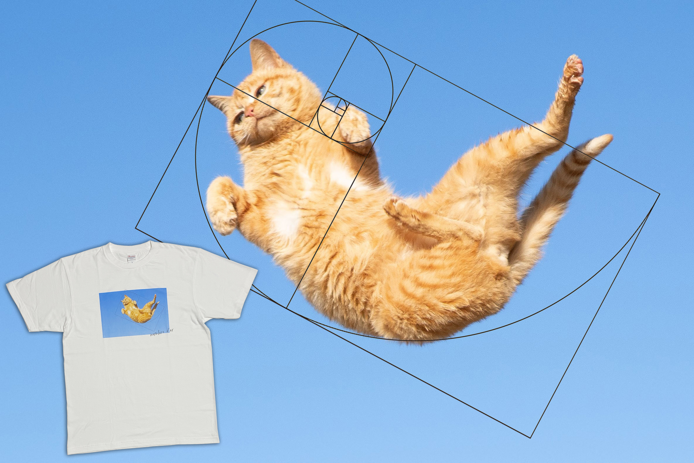 のら猫拳」久方 広之さんとGYPSY CATの黄金比猫Tシャツをリリース