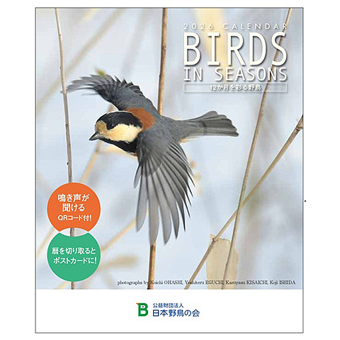 日本野鳥の会 バードショップオンライン Wild Bird カレンダー バーズ