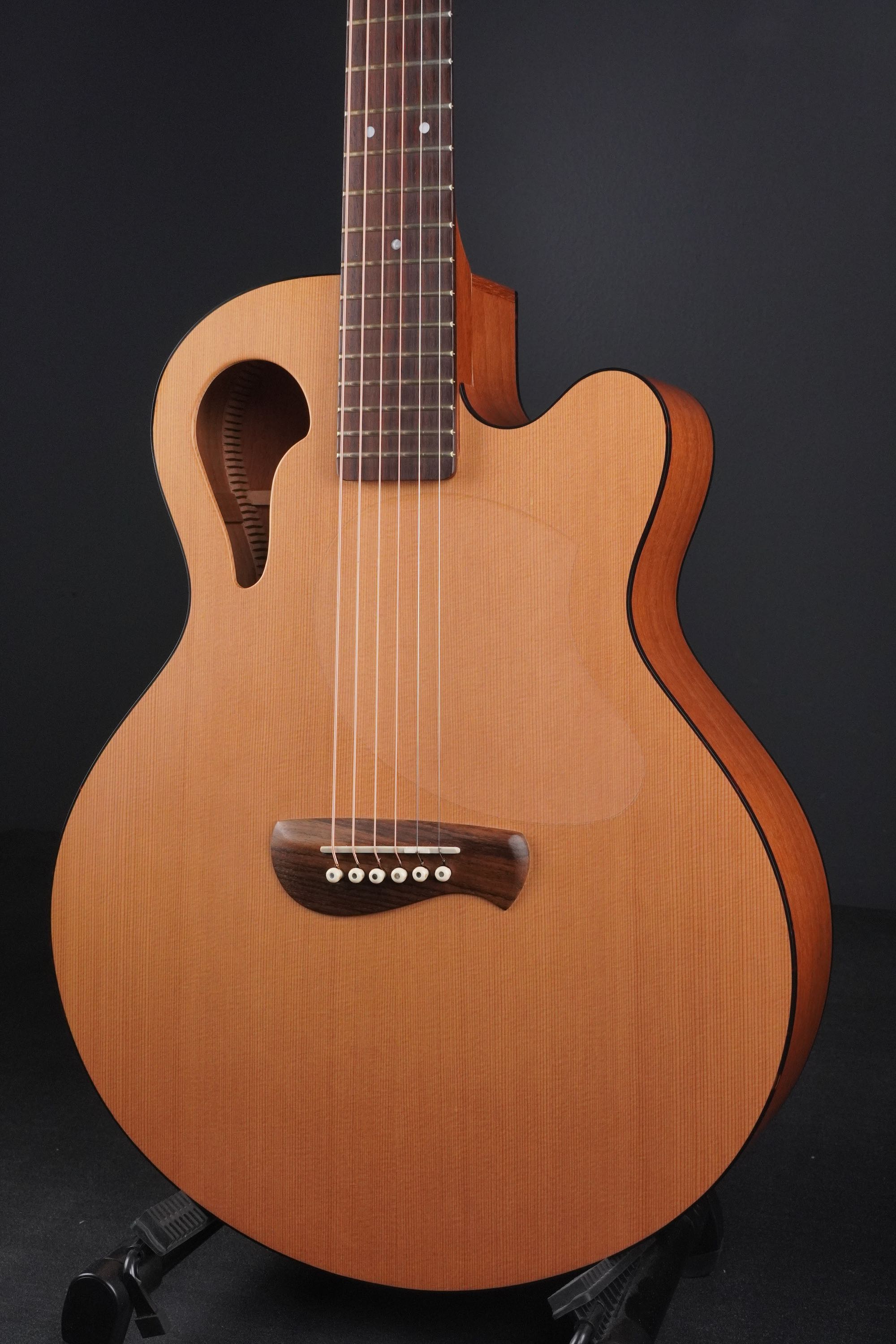 Tacoma C1C | 楽器詳細ページ [Blue-G]