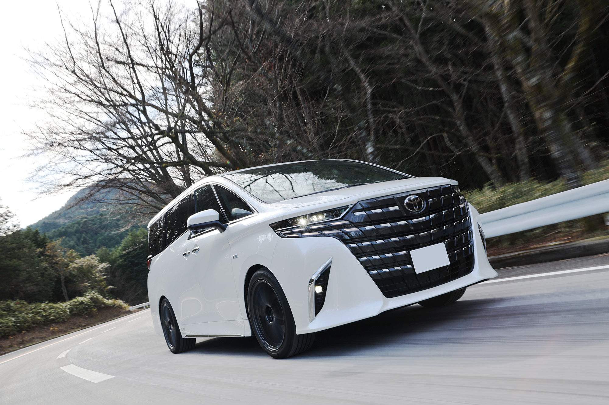 40系アルファード・ヴェルファイア カスタムプロジェクト | BLITZ