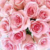 Pink Roses for Any Occasion - Save 50%!