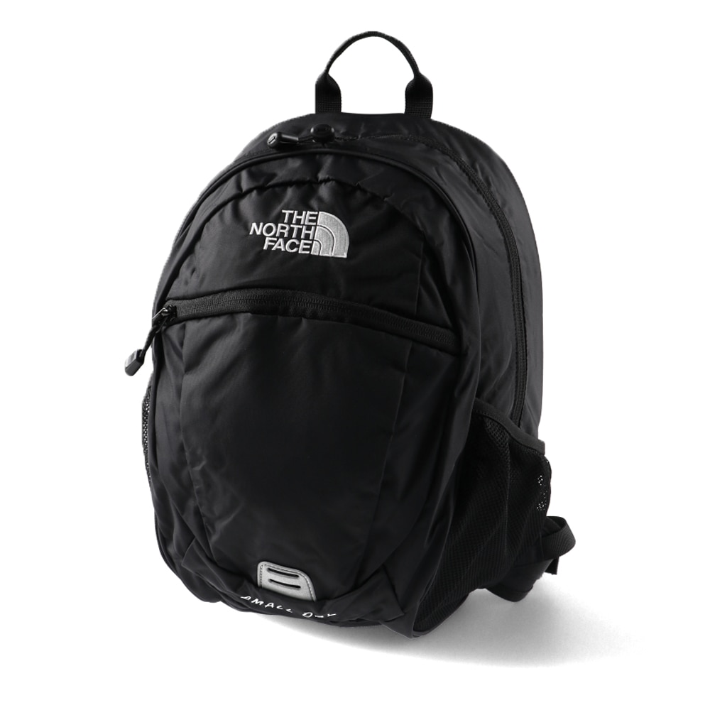 15L☆ スモーキーグレープ☆スモールデイ☆ノースフェイス☆キッズ