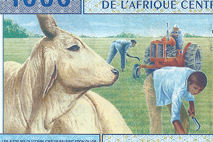 1000 CFAフラン券(2002年発行) < カメルーン < 海外通貨 < 文鉄・お札