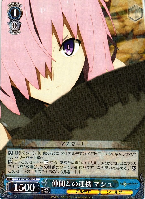 聖なる盾の騎士マシュ・キリエライト sp ヴァイスシュバルツ マシュ