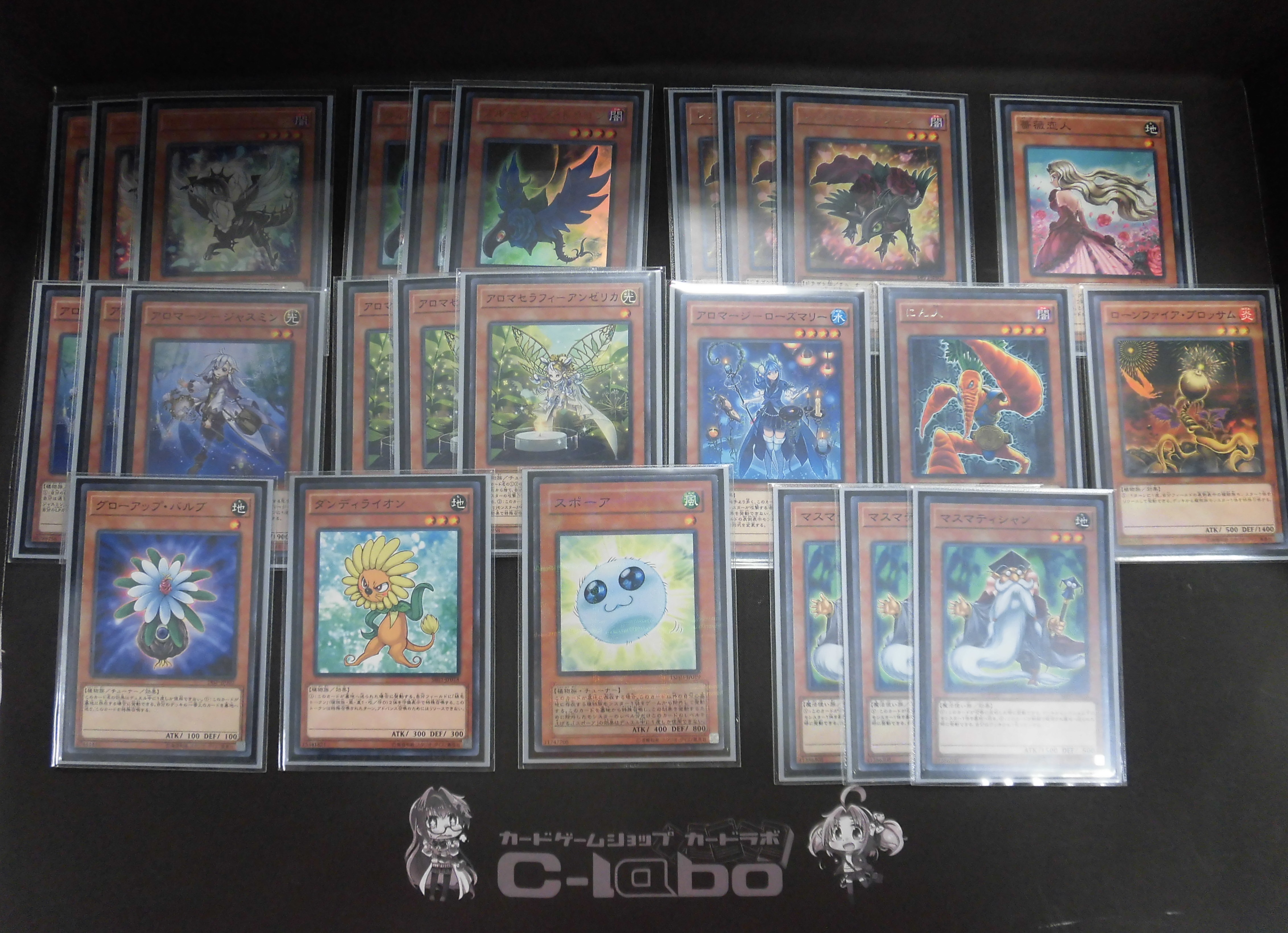 遊戯王】担当が勝手に新弾デッキを紹介するブログ【ローズ・ドラゴン