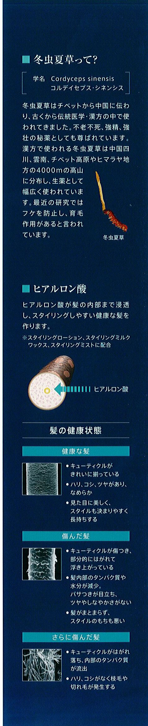 ポーラ ガチ スタイリングローション(V062) 入数：6 単価：3600円