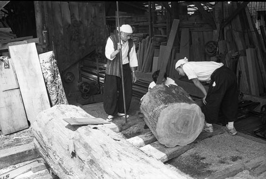 日本産の本榧材について／吉田碁盤店