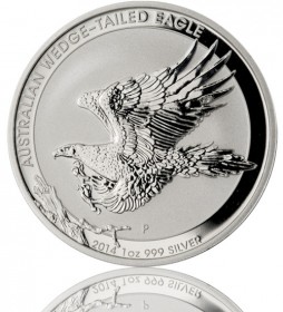 Australia Wedge Tailed Eagle