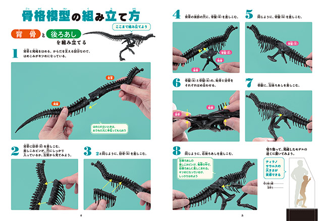 ティラノサウルス1/35骨格模型キット｜学研サイエンスキッズ