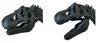 ティラノサウルス1/35骨格模型キット｜学研サイエンスキッズ