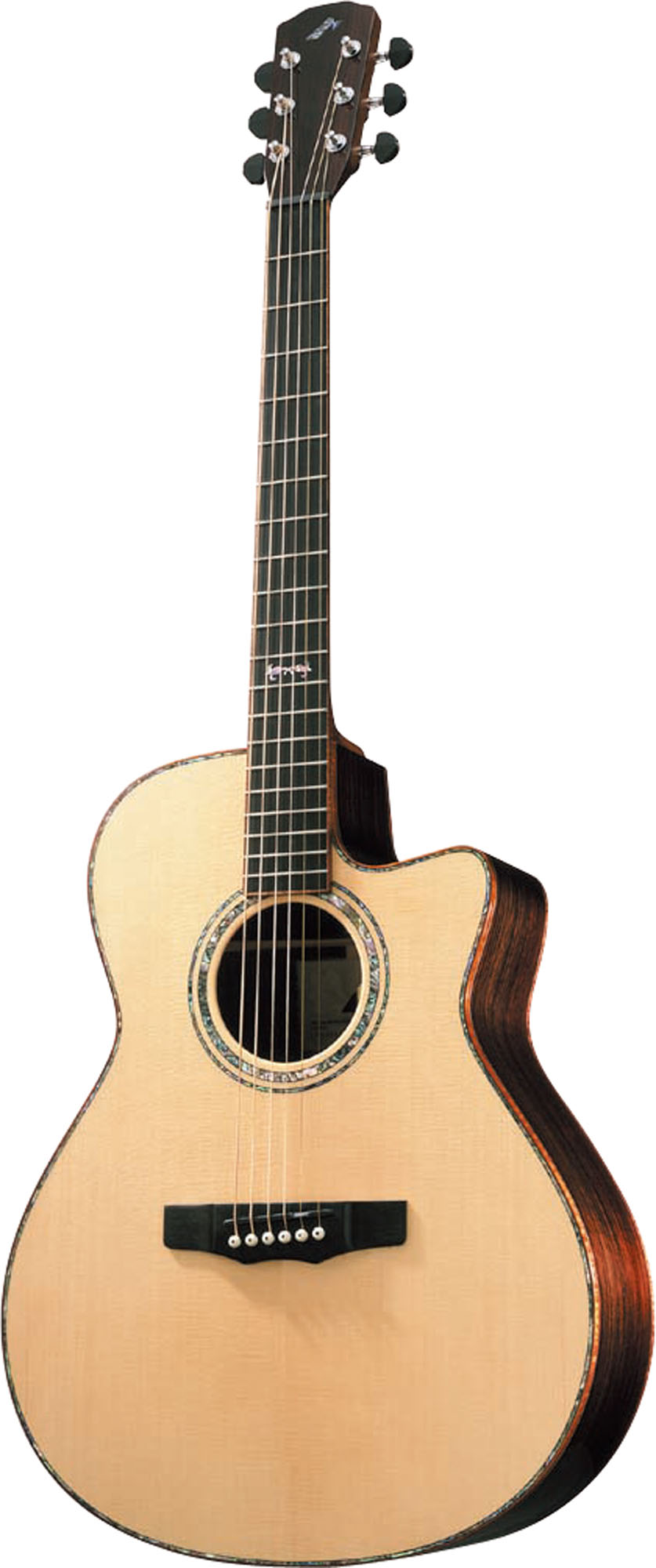 ☆限定特価☆コンパクトで弾きやすい☆MORRIS F12-TS☆トップ単板