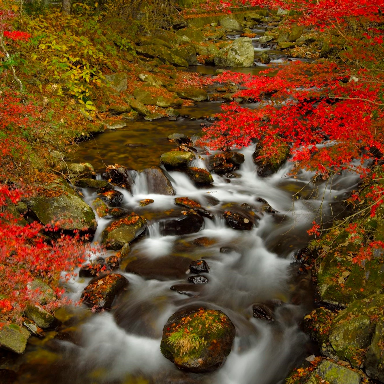 100選地一覧表 | 茨城県生涯学習情報提供システム