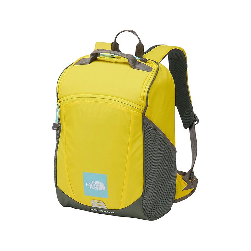 日本正規品】THE NORTH FACE ザ・ノース・フェイス レクタング 17L