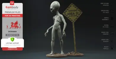 Grey Aliens Area 51 - UFO 3D Models | Gambody