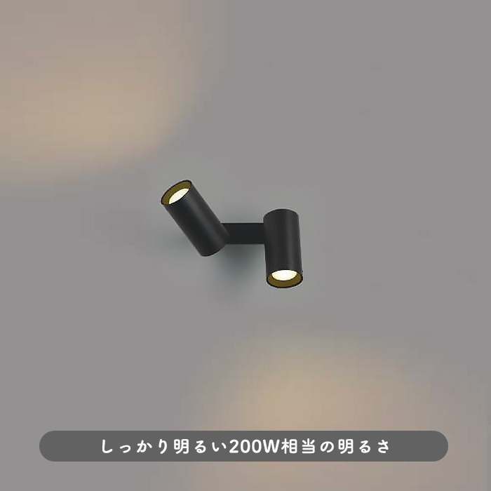 2灯式スポットライト・200W相当 | ブラック｜照明のライティング