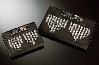 エグゼクティブミラーラインストーン / インテリア | GARSON