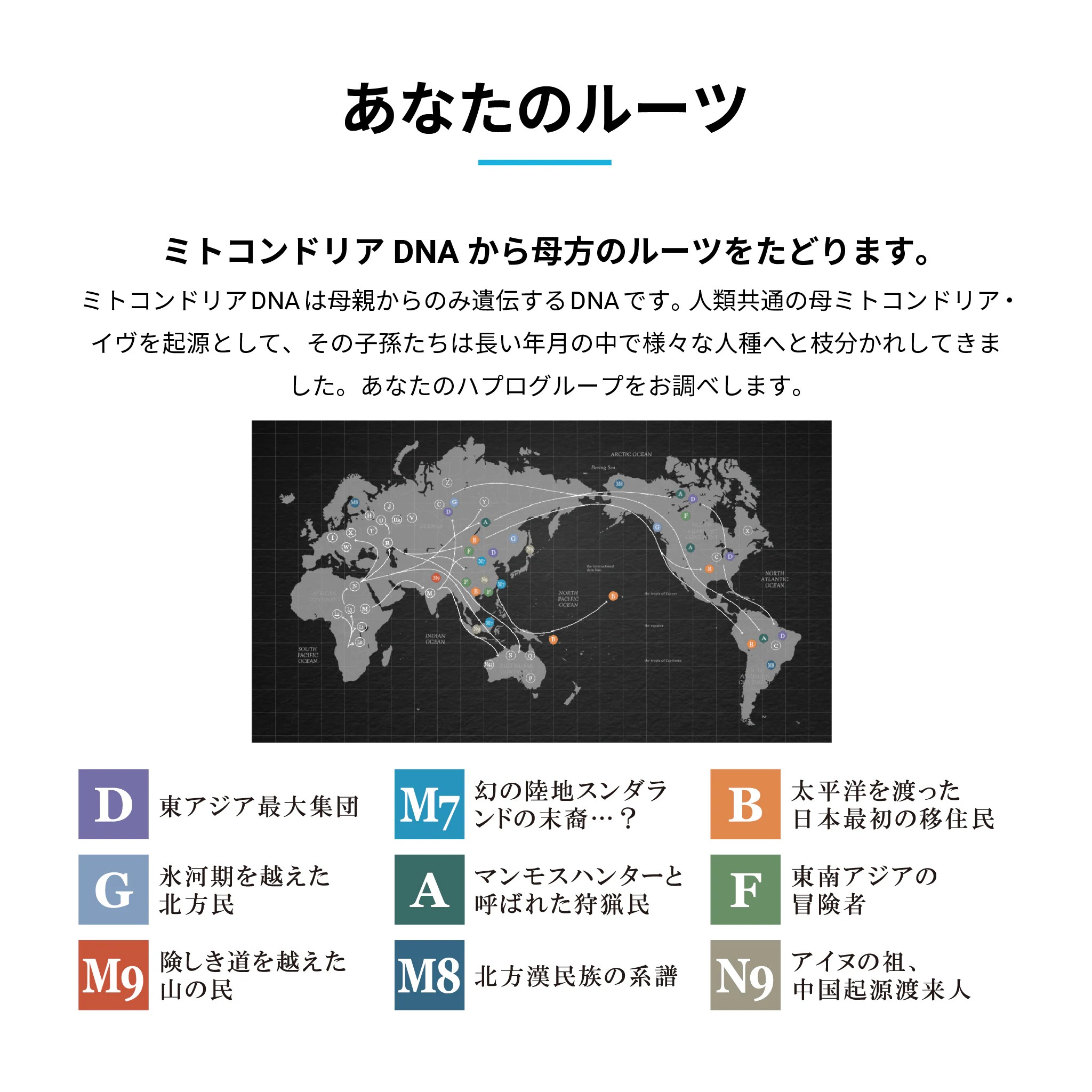総合遺伝子検査キットGenesis2.0 Plus | 遺伝子検査のジーンライフ