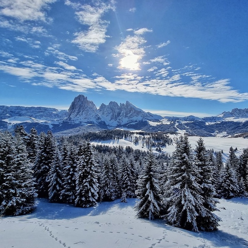 from MILANO ｜ GIANNI LO GIUDICE(ジャンニロジュディチェ公式