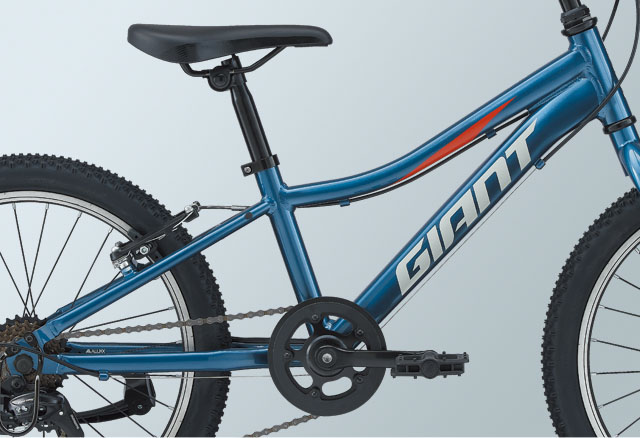 2021 GIANT Bicycles | XTC JR 20 LITE