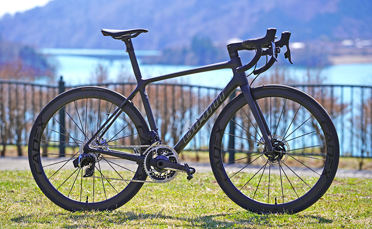 2021 GIANT Bicycles | TCR ADVANCED SL FRAME SET