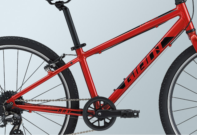 2022 GIANT Bicycles | ARX 24