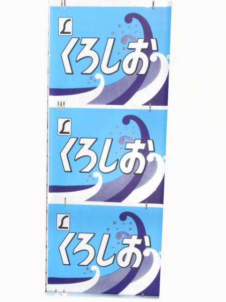 381系日根野電車区前面絵幕 - 銀河