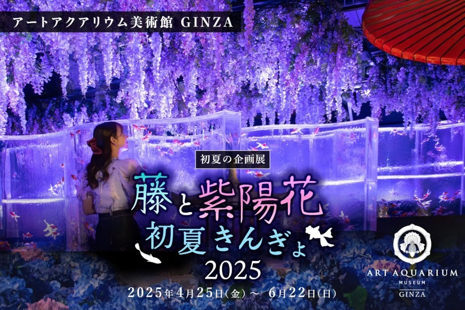 光と花に包まれる華麗な“紫”のアート空間 藤と紫陽花が織りなす、初夏