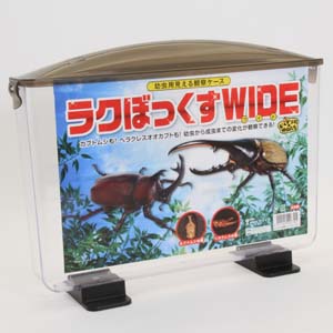 見える観察ケース