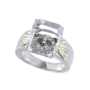 ジルコン厳選ジュエリー | 宝石専門チャンネルGSTV