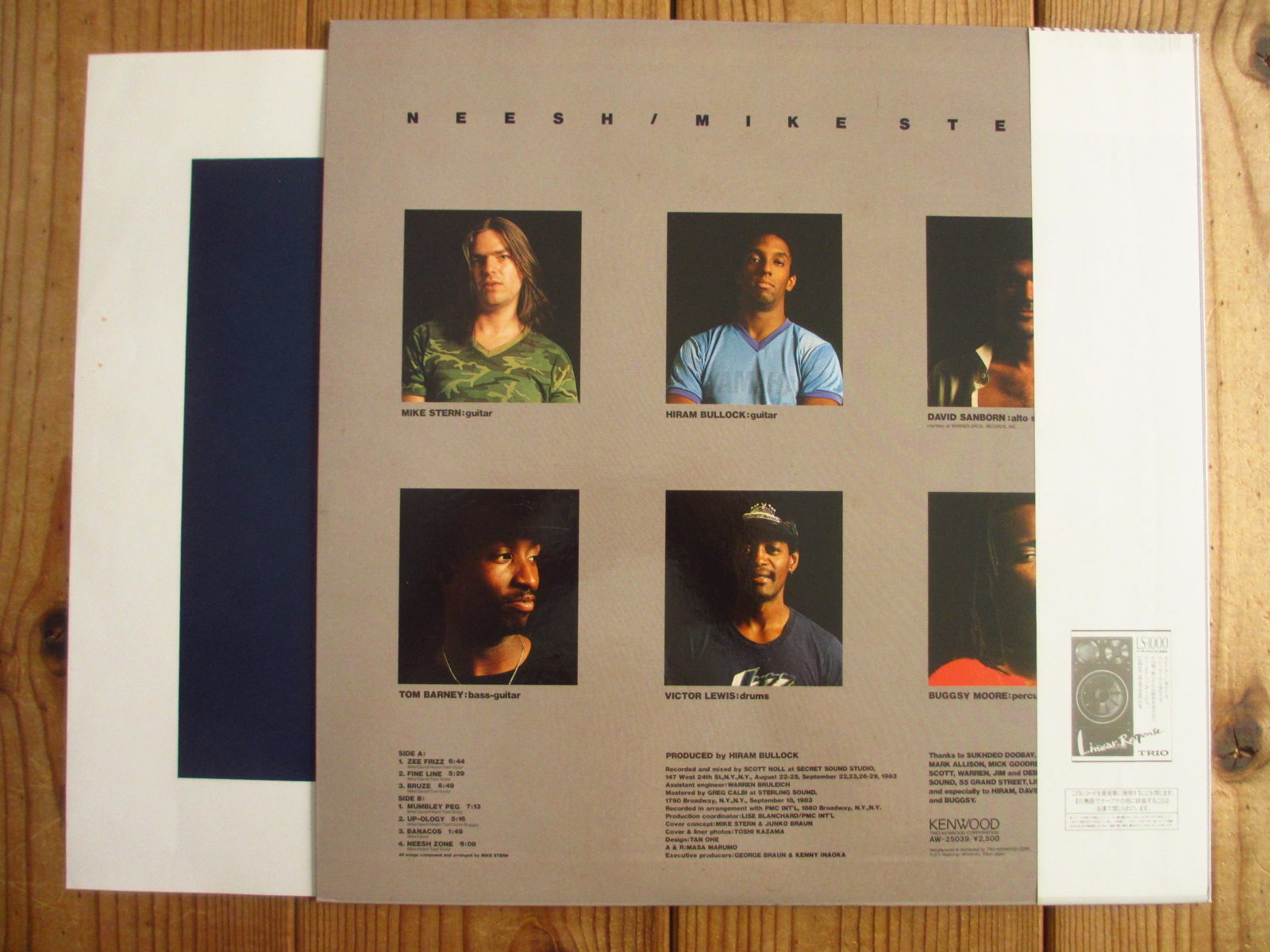 Mike Stern / Neesh ~ ファット・スリム - Guitar Records