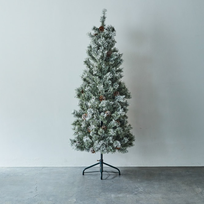 studio CLIP CHRISTMAS TREE