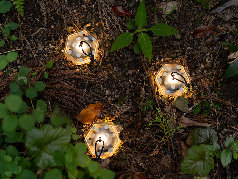 ミニキノコライト3個セット（クリア） L3-046-CL - DOD（ディーオー