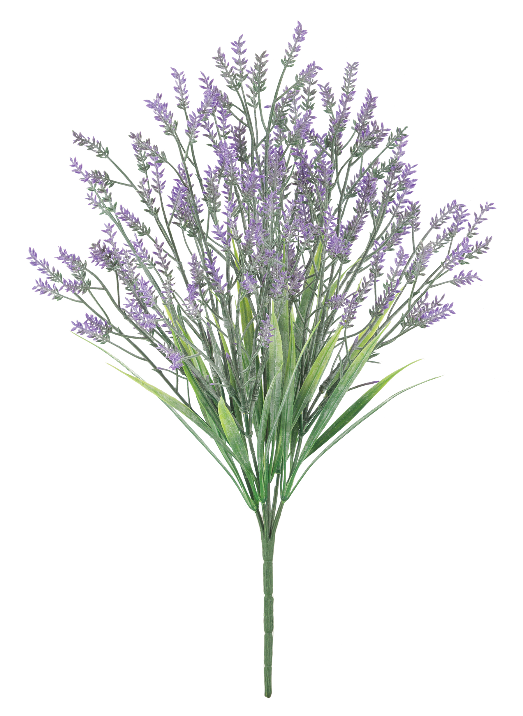 ミルラベンダーブッシュ x 5(プラスチック)（*）（商品詳細）| 株式