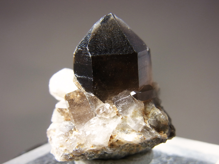 岐阜県ちんの峠産 煙水晶 (Smoky Quartz / Japan) - 鉱物標本販売店