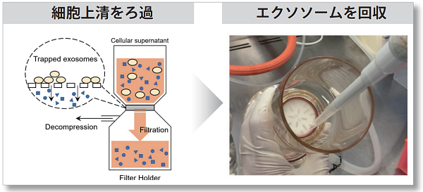 エクソソーム精製キット Exo<i>Isolator</i> Exosome Isolation Kit