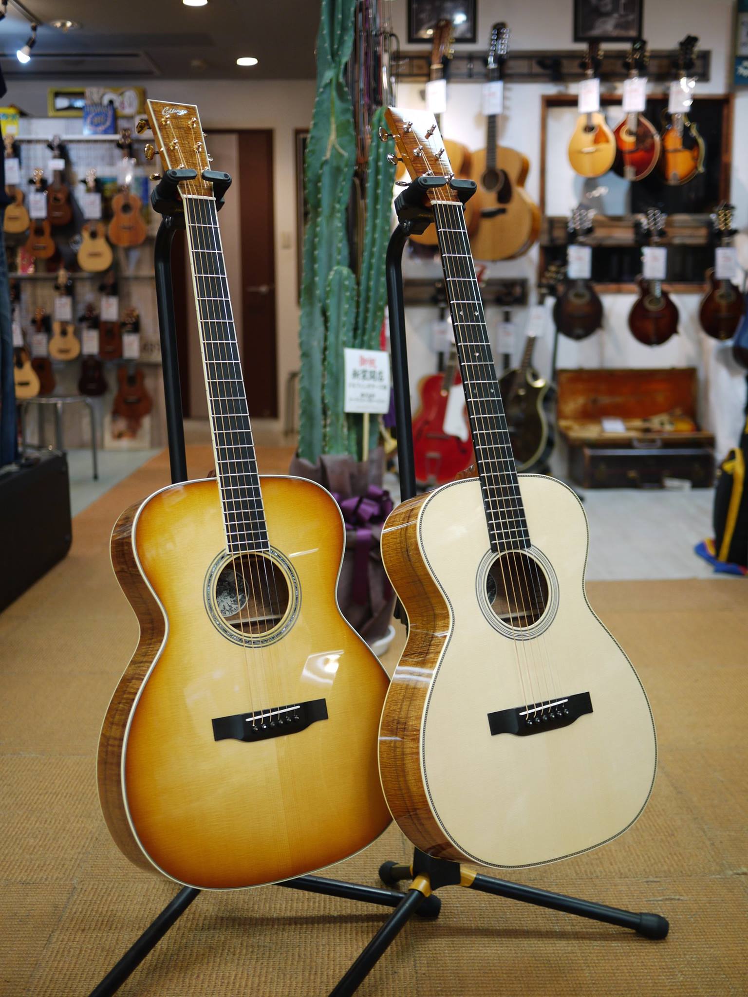 ドルフィンギターズ アコースティックギター・ウクレレ販売