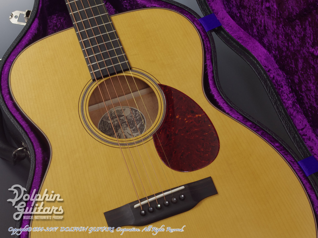 Julian（ジュリアン）Co.のアコースティックギター ドルフィンギターズ