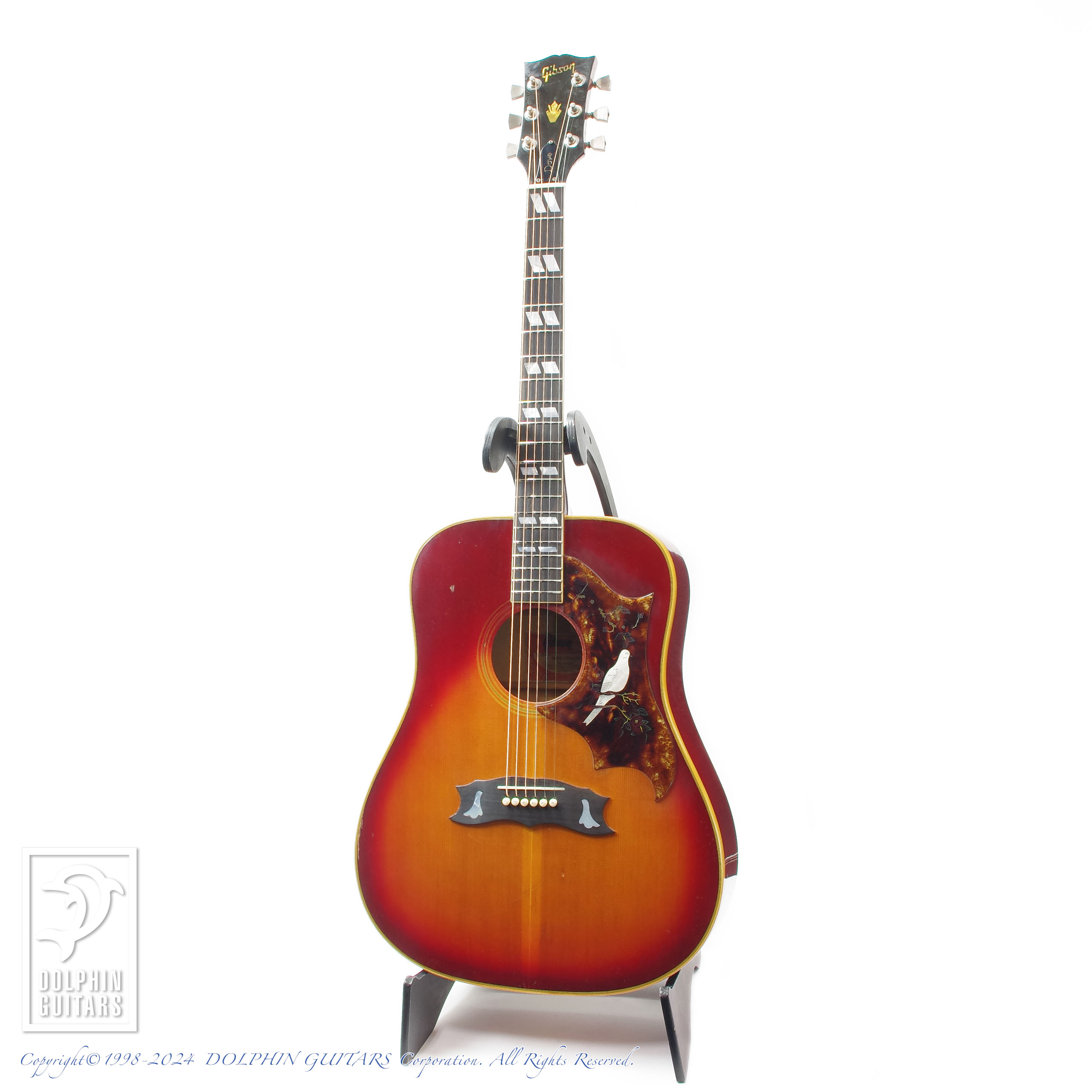Gibson:Dove Custom