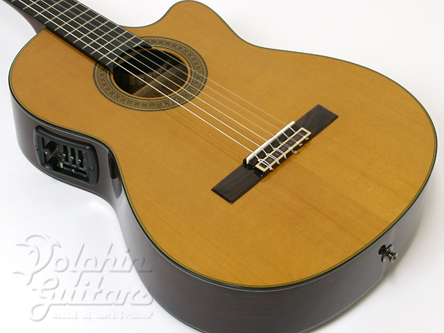 YAMAHA CGX-171CCA|ドルフィンギターズ