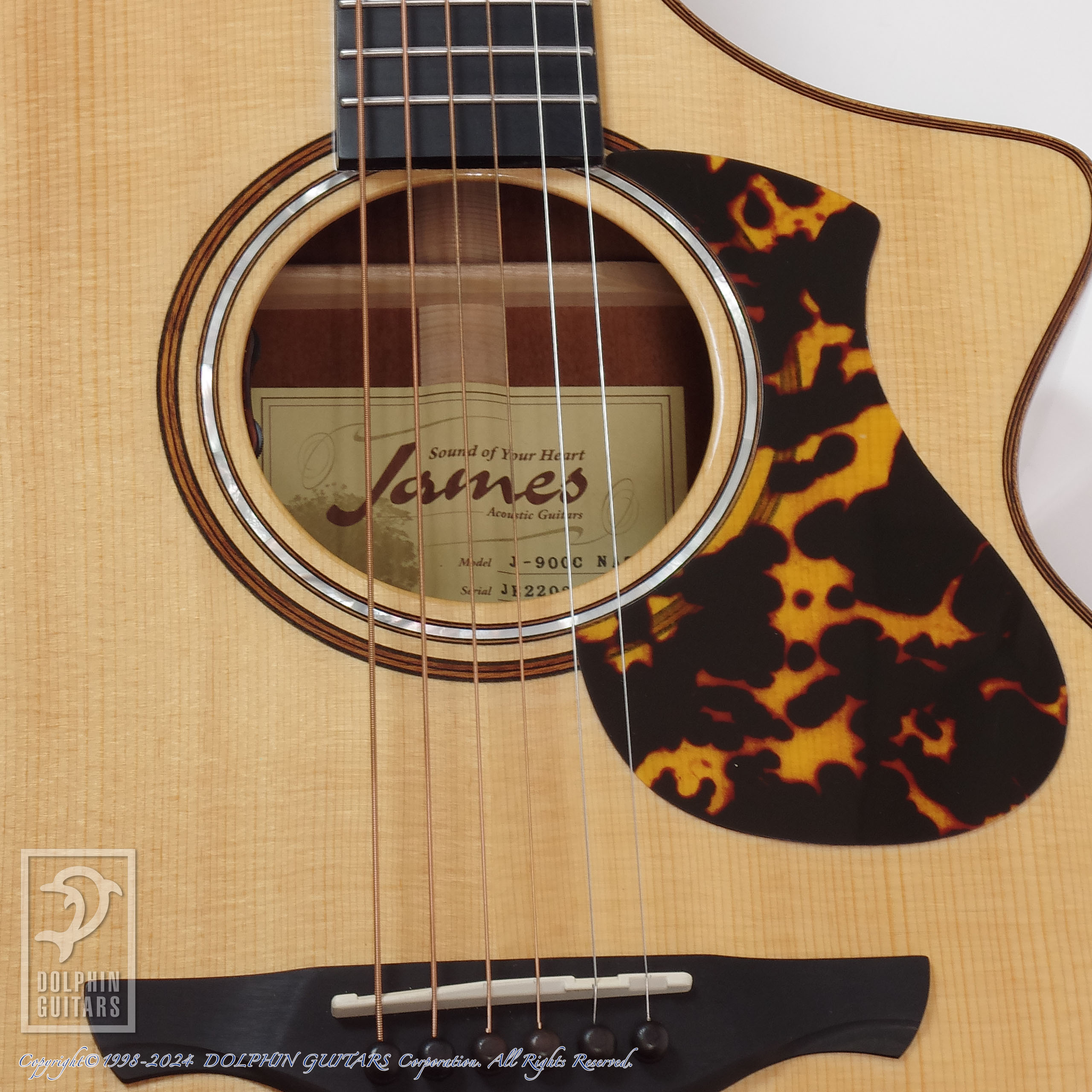 James J-900/C|ドルフィンギターズ