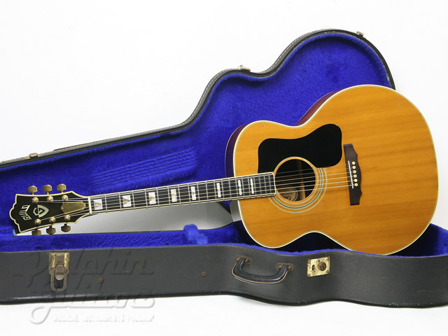 GUILD F-50R|ドルフィンギターズ