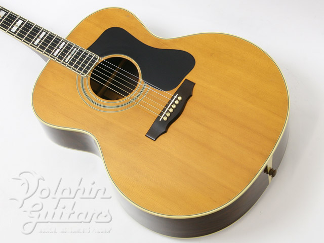 GUILD F-50R|ドルフィンギターズ